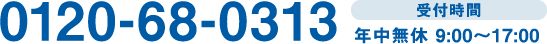 0120-68-0313