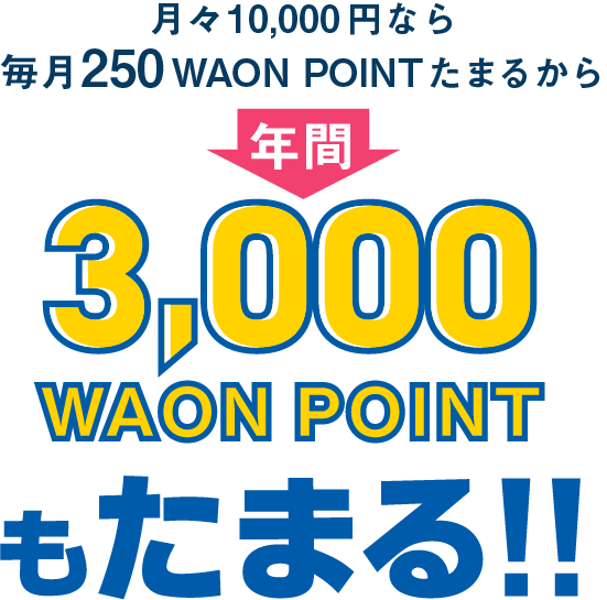 月々10,000円なら毎月250ポイントたまるから、年間3,000ポイントもたまる！！