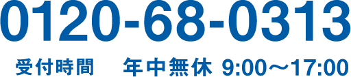 0120-68-0313