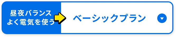 昼夜バランスよく電気を使う方向け ベーシックプラン