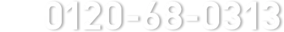 0120-68-0313