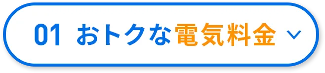 01 おトクな電気料金