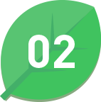 02