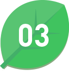 03